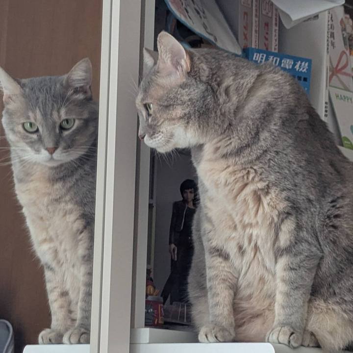 1e71f36d d012 4aff 96c0 b0bc47f60ece 1755675036710