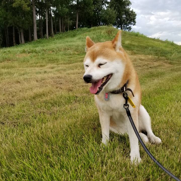 1e71f9f7 680d 476e aa99 d01aa5cf9f5e 1599465752027