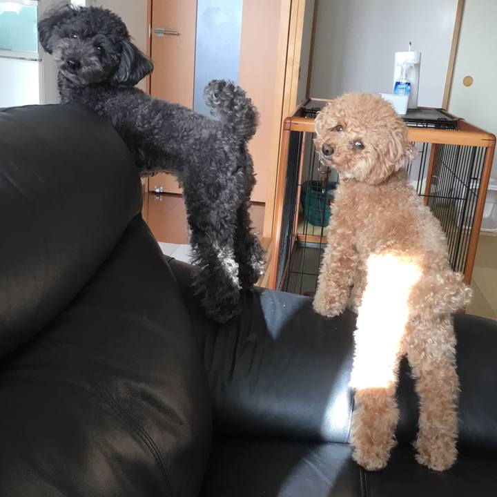 1e7209a2 4bca 422c a571 a381ce422f4c 1613305835655