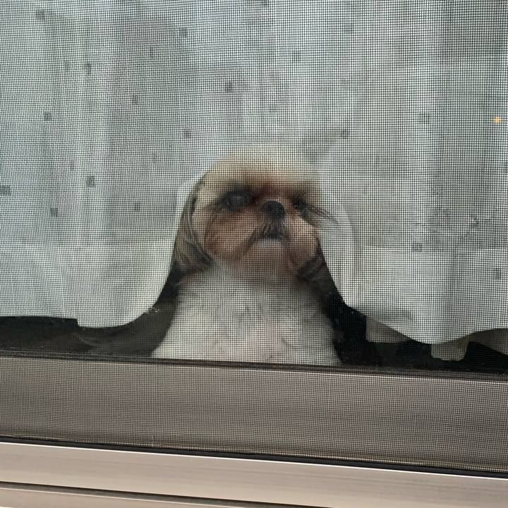 1e722512 1d40 4be8 8592 009dd93c885f 1625056822200