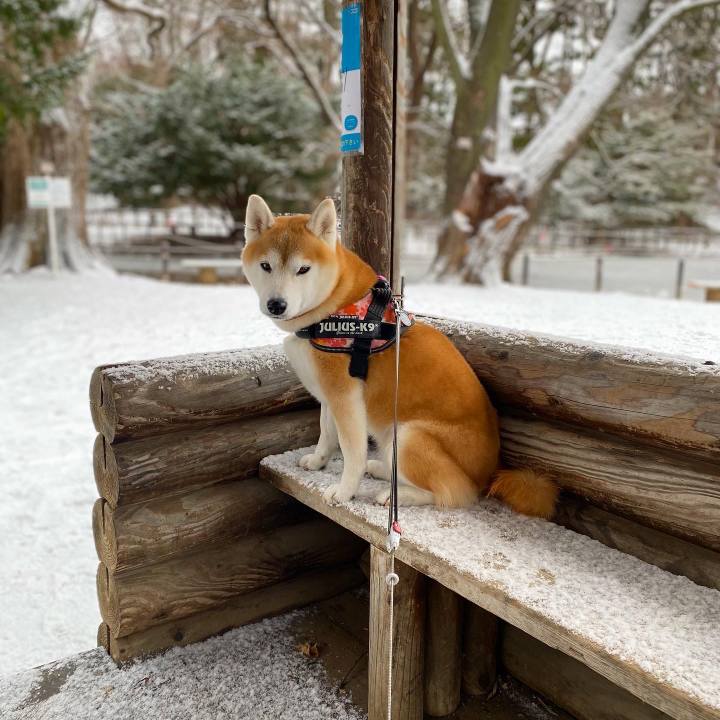 1e7262e1 b238 4550 96e5 9459e6c8e225 1670997109675