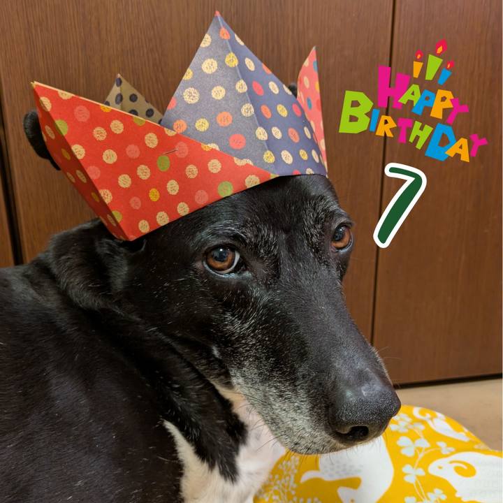 1e727f01 5c75 4a02 9a2d ac05f94ae62e 1743433370594