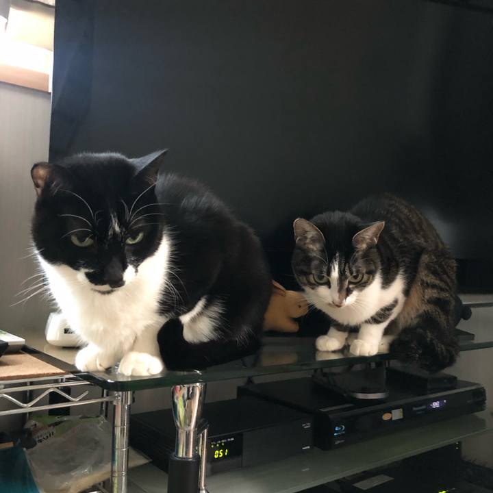 1e73041f 186d 4cf3 aef3 9f71a5de477c 1606813571240