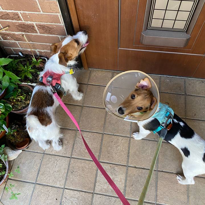 1e73117e 32ce 4c69 867f 6a14031b7c5d 1751088249841