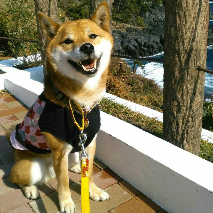 1e733e87 97cc 457e b827 eb42ba6f5b63 1518327842716