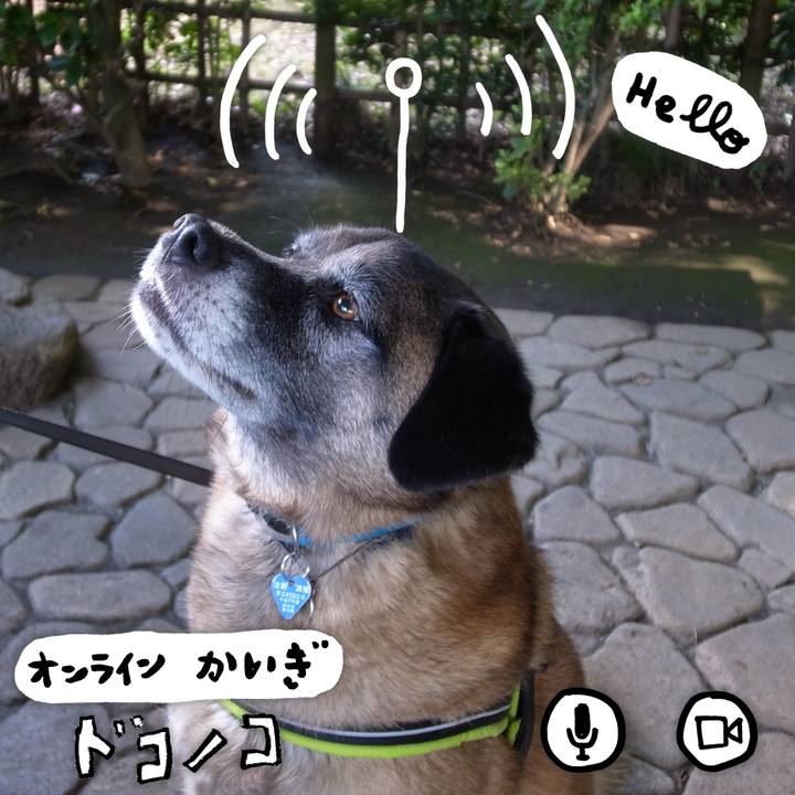 1e736900 b3e7 436c 8212 b6863e080bca 1590712975432