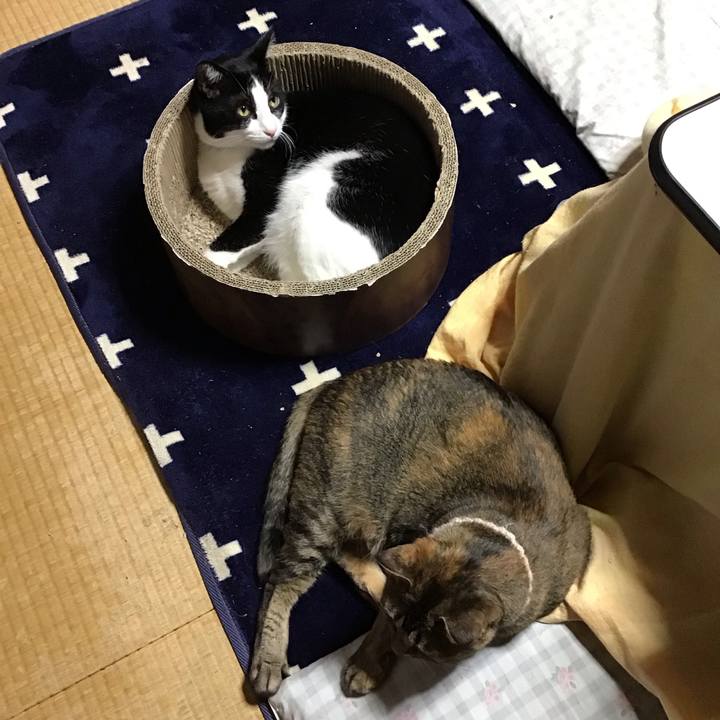 1e737e7d 3131 4cb7 9e03 51cb669f946d 1716637966038