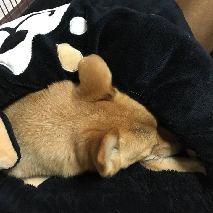 1e738447 c505 4b56 8c80 254faf801863 1515509205320