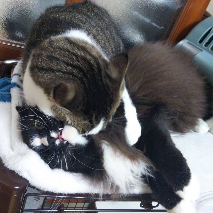 1e739219 7168 4606 b44b b4e3b6573b5c 1665150797715