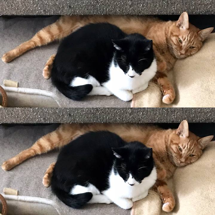 1e73e722 ec84 4a1f 90ec b3bbf9c4a469 1555033454961