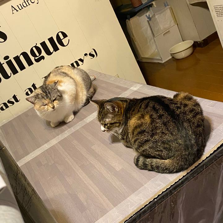 1e741884 6d82 4492 bebe e602b83fe676 1617628356877