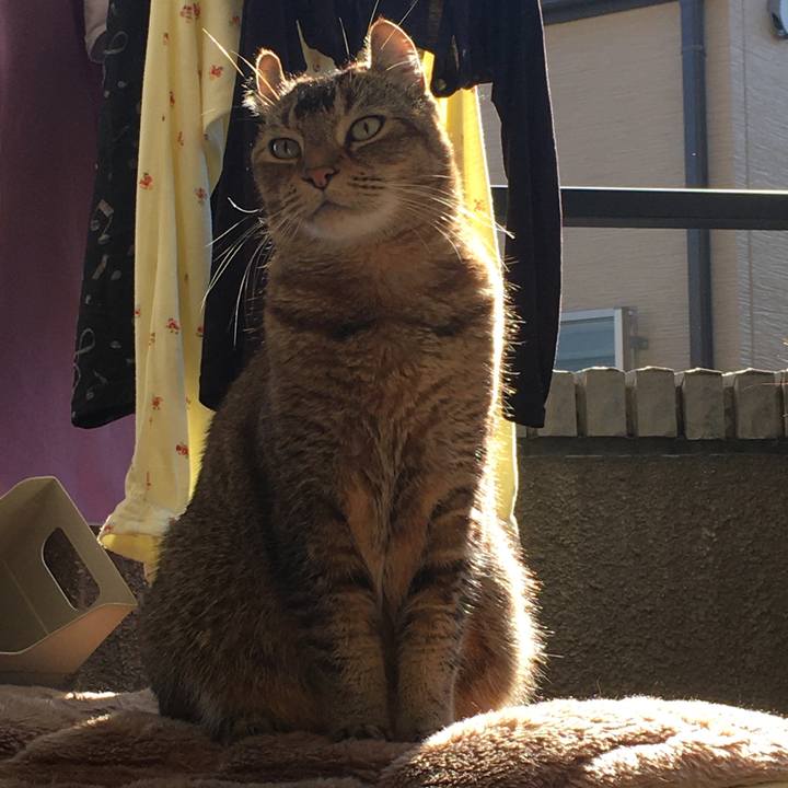 1e743496 288b 4e56 8c8f ab80d8ae1e3c 1607947481212