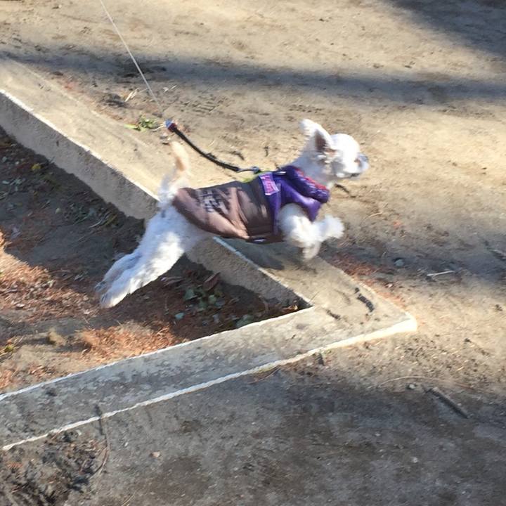 1e744380 0eb7 4208 8cfb 05f37e2b9ea6 1514545479043