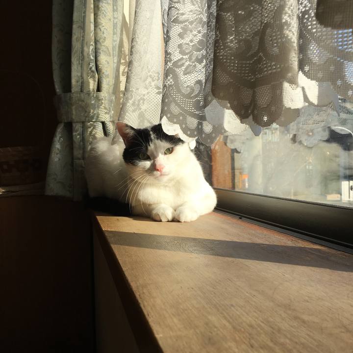 1e74470a dfec 4a86 b945 60d99d49a73e 1513232157390