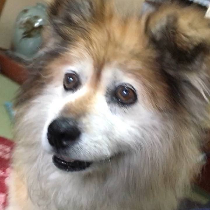 1e7483bd 0514 40d8 b7a7 c0690ab47760 1564725066262