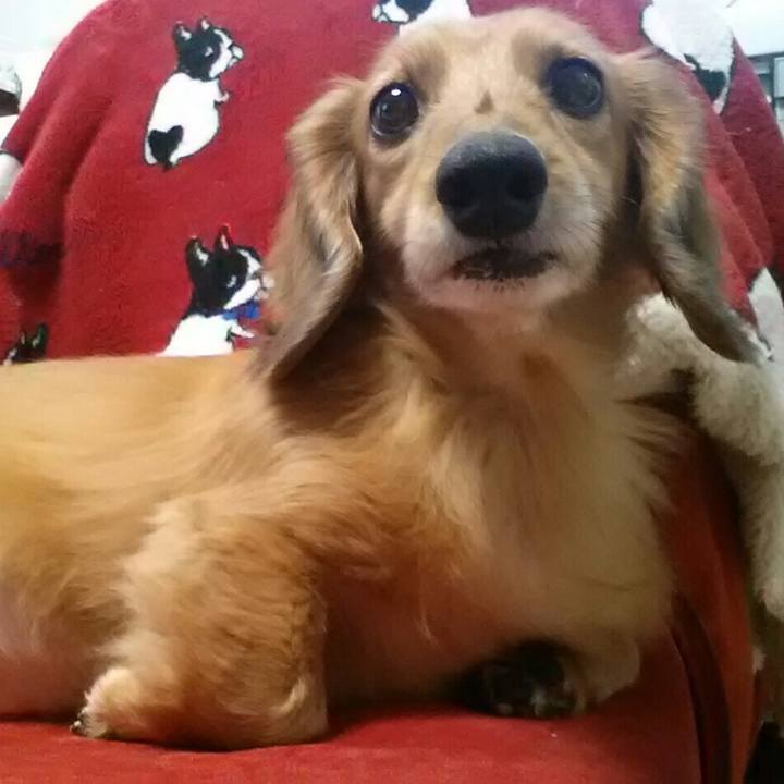 1e74adf0 5f75 4872 842e 3cc282855352 1583667711906