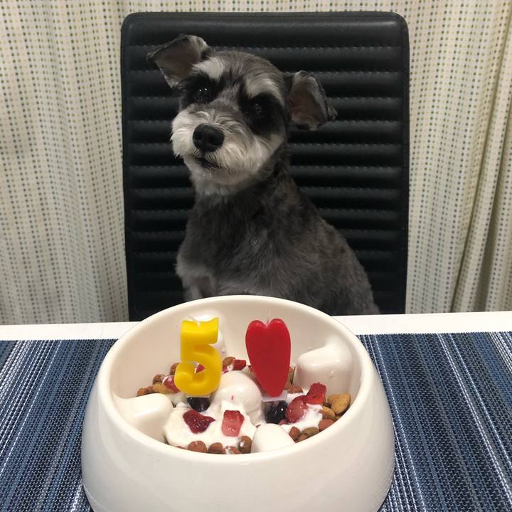 1e74b57f 0f39 491f 8dfe a06a17ef6db1 1621333350362