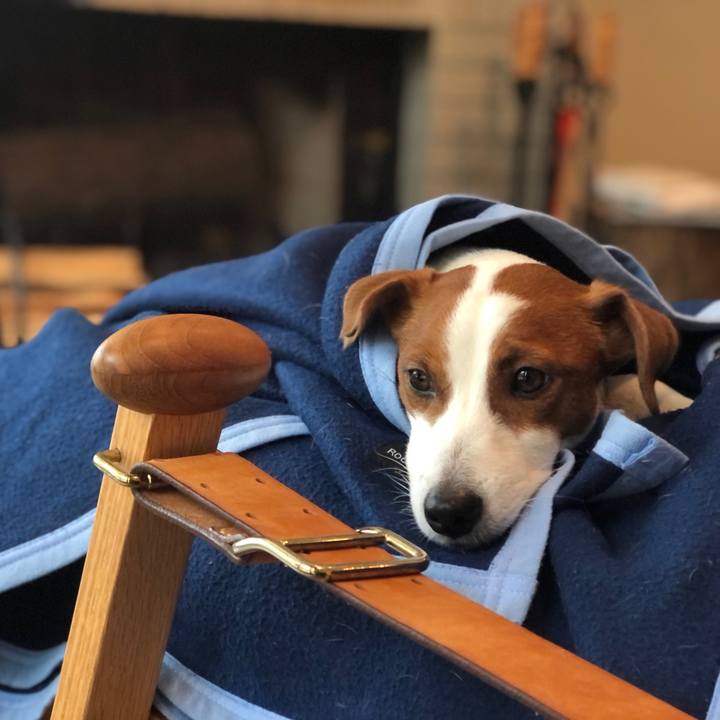 1e74b979 7a21 4cb2 b03f 932a30db68d4 1612764700977