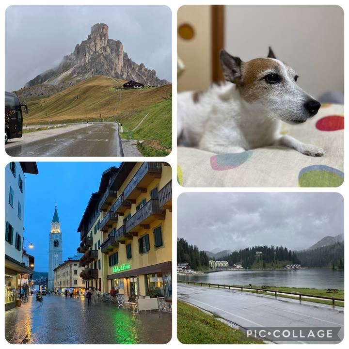 1e74f0c3 c7d1 4795 ae6a fef479b70e1d 1695443118876