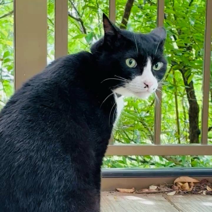 1e750003 8e29 4512 8386 0955af270e05 1754622889806