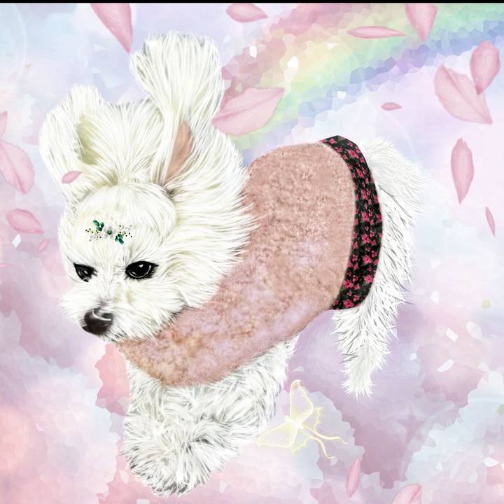 1e7521da deee 488f bb6d b90be6da13d3 1759637114508