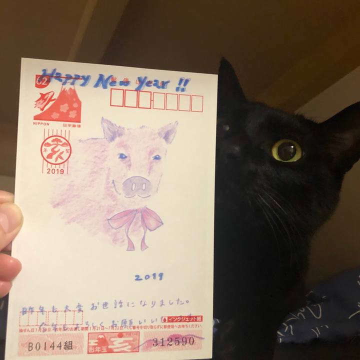 1e7531f9 8c9f 4aa3 b7b6 841702c470a3 1546439362550