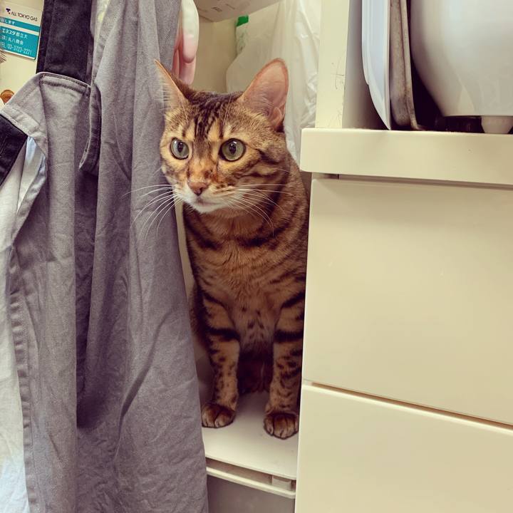 1e754b0b a4c5 4938 b2c5 9138441ed68d 1626658738855