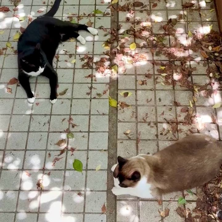 1e75a3cf fa6d 4451 8a12 f546bb6dd2b1 1752201347428