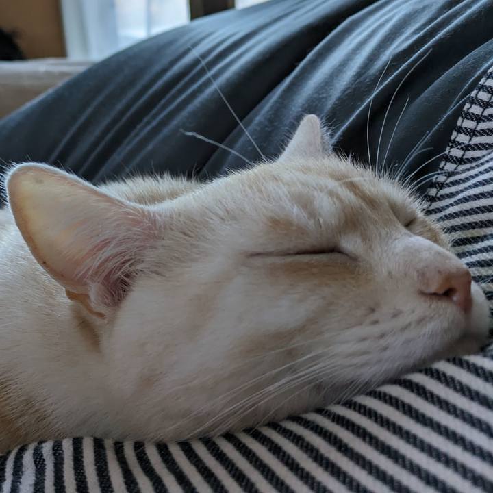 1e75f49b 4c59 4af8 8ebf af24c43c323b 1693897810471