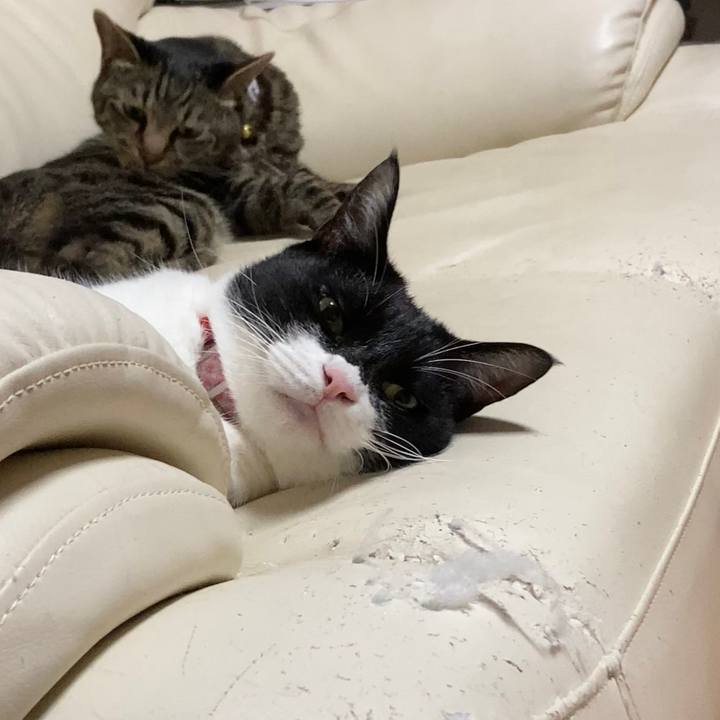 1e7618a9 6a6a 45b3 9736 7f7236f83690 1690006381267