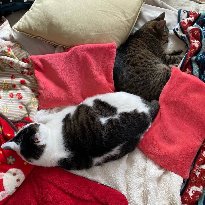 1e7626f5 4b07 4fcc 8dd7 651222a0197a 1770528758757