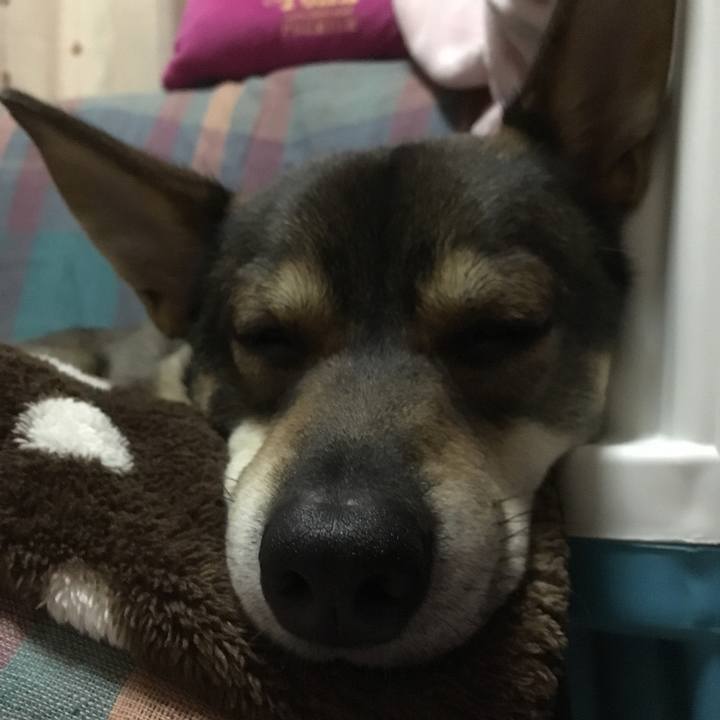 1e7641ab 23e0 460b b718 5911d5c1eb63 1511968987989