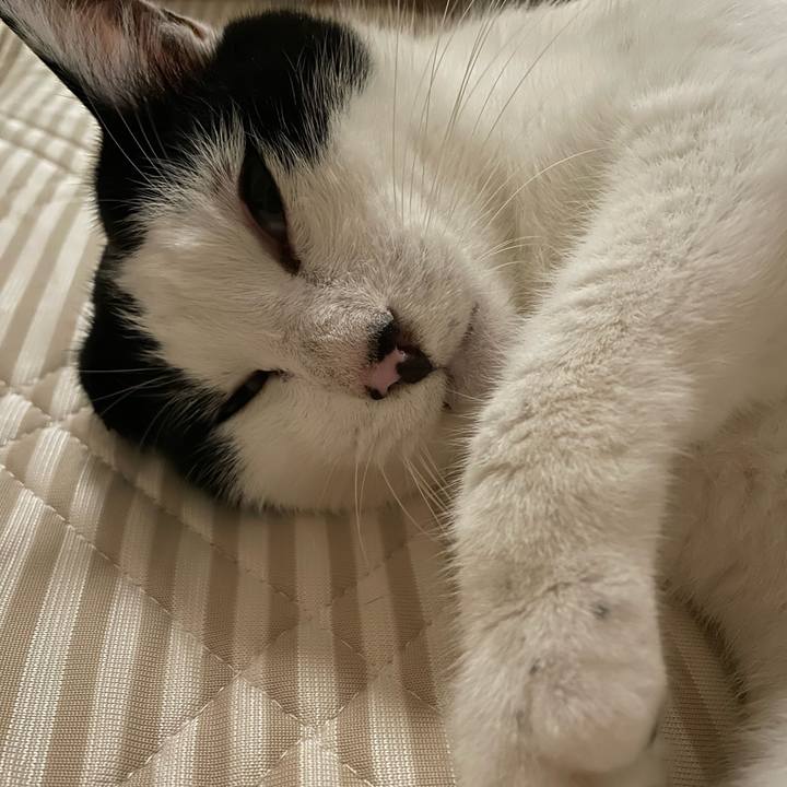 1e765967 0419 4ece bb44 c64eb9194812 1658074001648