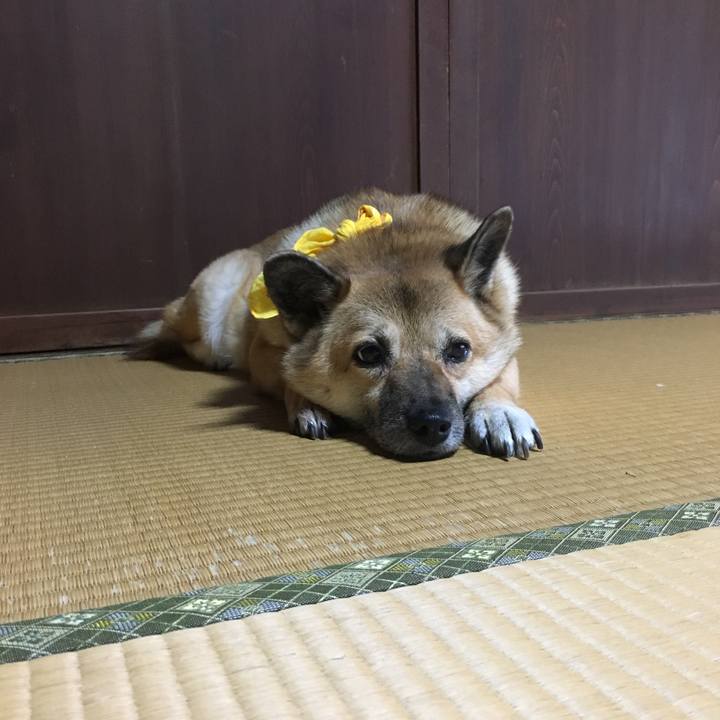 1e76608a 43d2 4664 9478 4b172b498f85 1532205979213