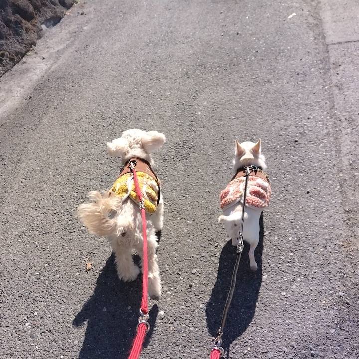 1e7668d6 1a67 4d73 b58c 164ce87b0ba4 1707996730421