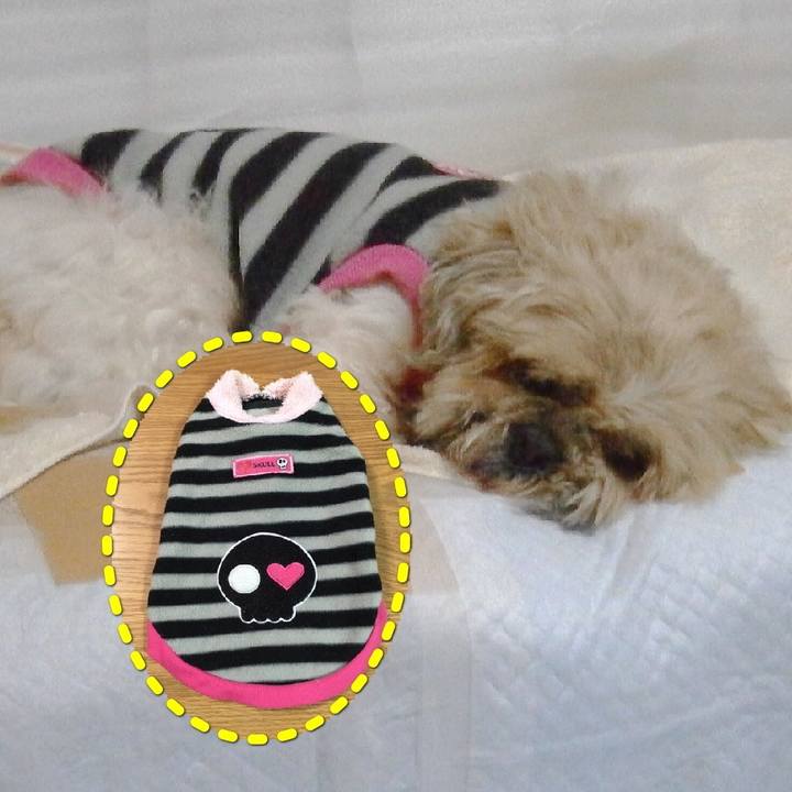 1e76ee70 1d4d 430f aeab 146616c4a2d5 1581665346176