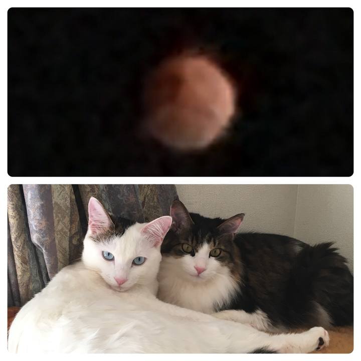 1e772650 a390 45bd b9e7 3cfbde5c7323 1517442828331