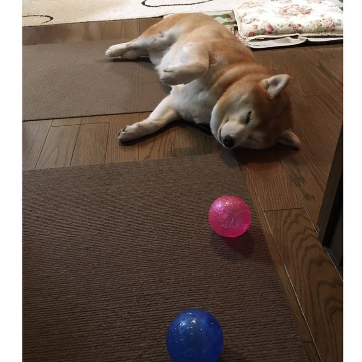 1e775940 baf1 42f7 a5b7 0b54b5c771d8 1531718855057