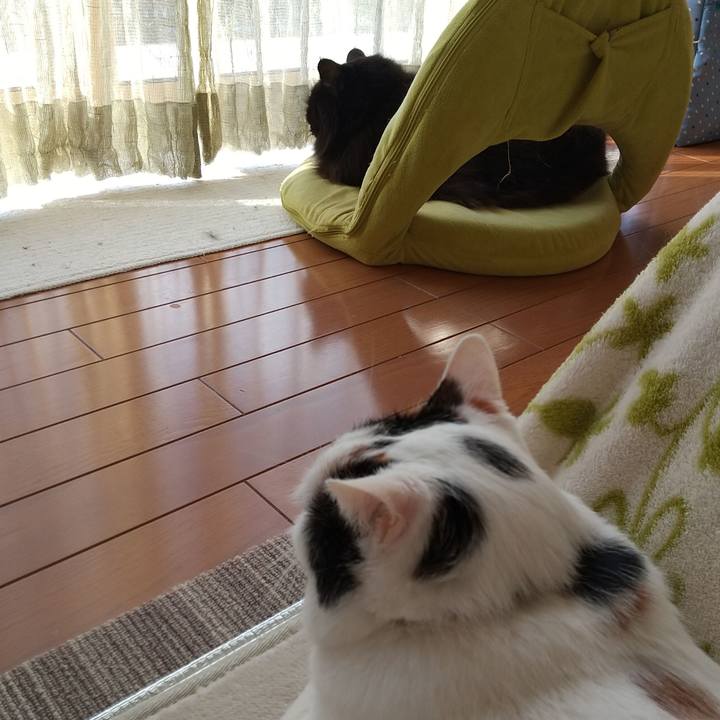 1e776deb 39a4 491a 8bbc 6d769b3a41c6 1603234859789