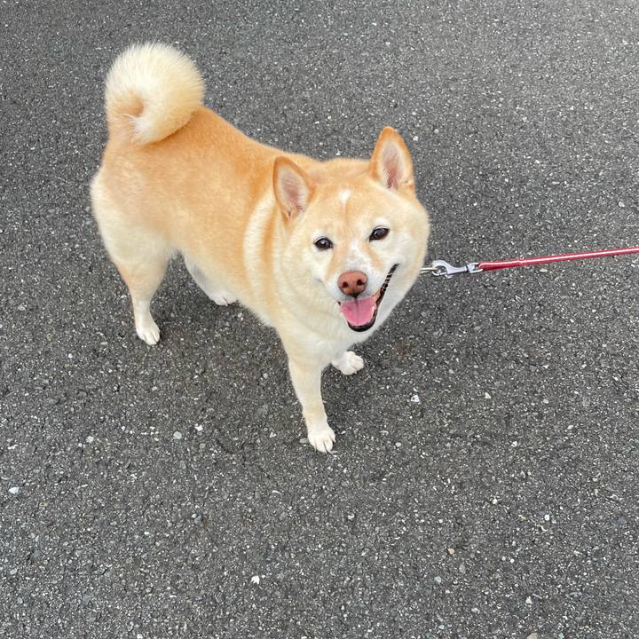 1e77865c 5676 48f3 afe6 29c9a0233c96 1723847455855