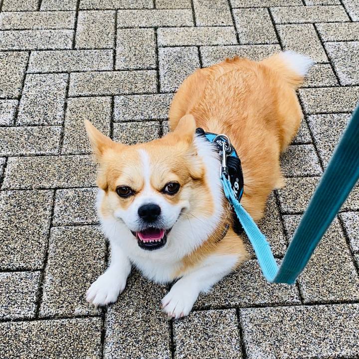 1e77aa58 5940 4f26 9907 8853d62bb6f7 1661144561499