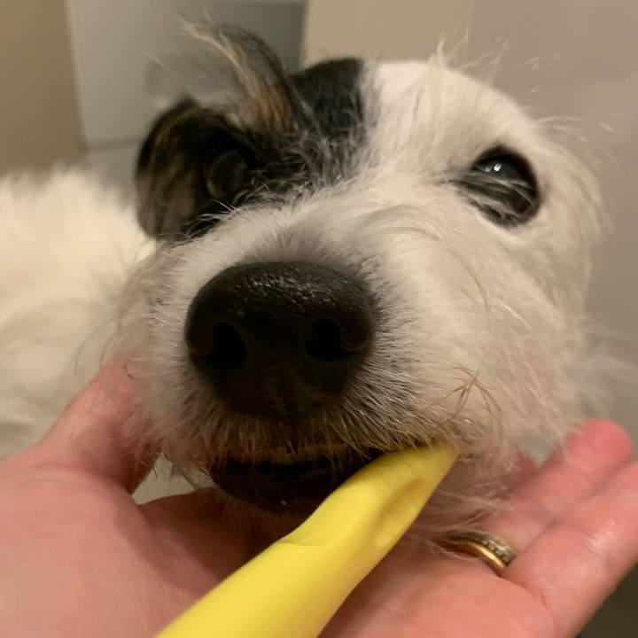 1e77aec8 7c1b 45d3 a629 ed72a8e5f3ba 1728996644522