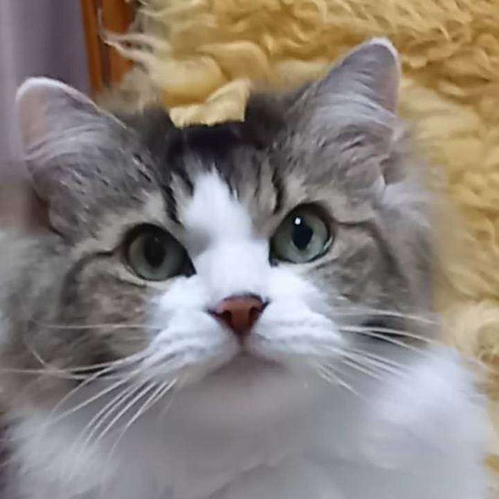 1e77bf40 ae5f 4cfb 8372 38985a8a766f 1675519019765