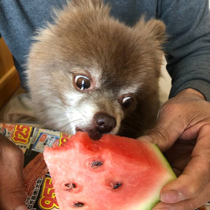 1e785613 22cd 4a68 a3db d1106bb0aafa 1620197433948