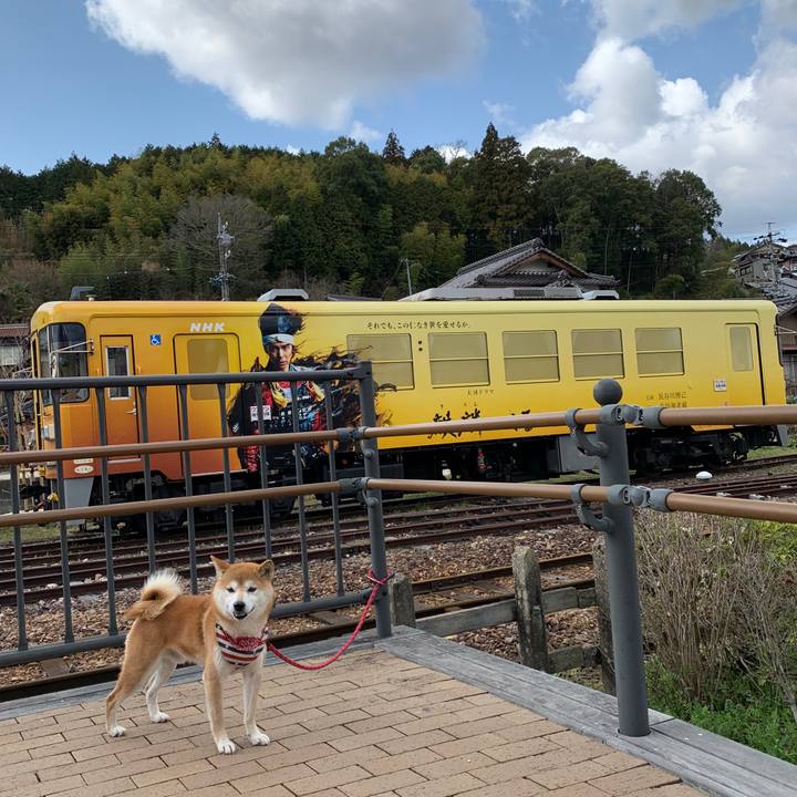 1e786fa2 2d85 46a5 aff8 104a84a548a5 1585912193071