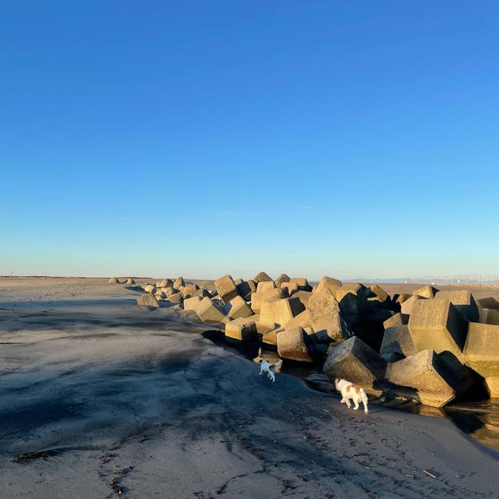 1e788a0a 7614 4e6c 92a3 cd2c9fa4b22b 1638229697852