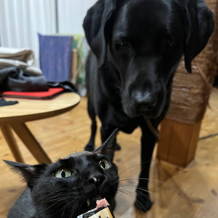 1e7893ba 1437 4156 9598 a31a5ca5f24a 1762338826009