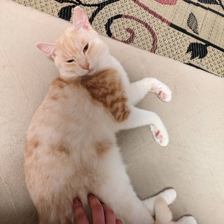 1e78a487 f192 484c b611 cb51271553de 1687704964653