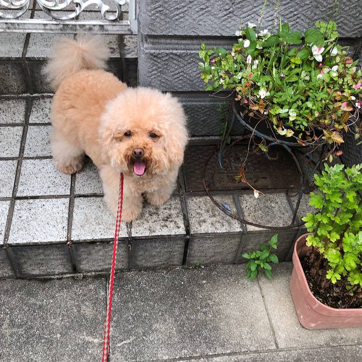 1e78a911 5ba9 4cd5 9ccd 1ab81e7310e2 1528694282952