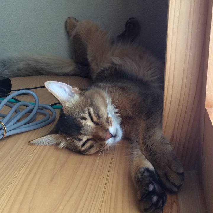 1e790f5a 8a38 4c26 8c3a 954fed60b69a 1565582241104